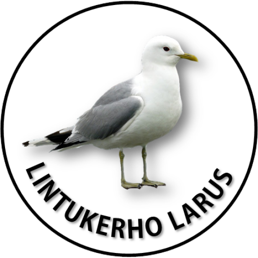 Lintukerho Larus – Oulun eteläisen alueen lintuharrastajat
